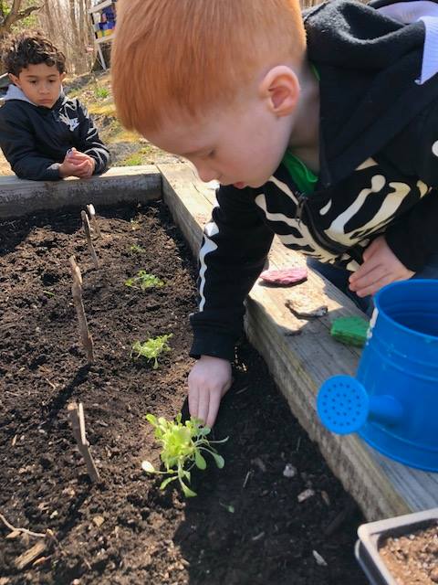 Little bout gardening.